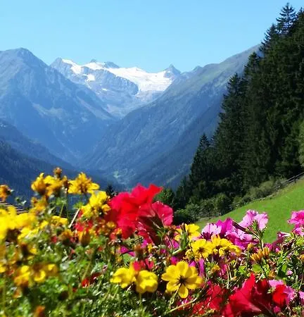 Haus Gletscherblick Lägenhet *